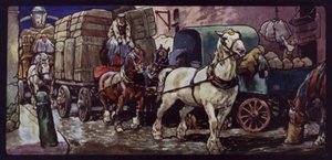Konie Clydesdale w pracy