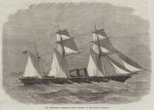 HM Steam-Ship Racehorse, ostatnio rozbity w Zatoce Pecheli autorstwa Edwin Weedon