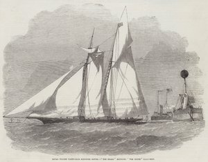 Royal Thames Yacht-Club Schooner Match, Rekin okrążający Mysz Light-Ship