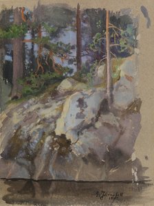Cliff autorstwa Eero Järnefelt