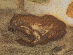 Żaba z kaczeńcem autorstwa Eero Järnefelt