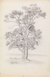  autorstwa Eero Järnefelt