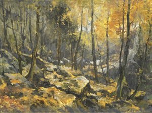 „Felsenmeer” autorstwa Egbert Rubertus Derk Schaap
