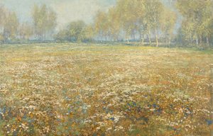 Łąka w Bloom autorstwa Egbert Schaap