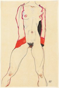 Kobiecy tułów; Tors Weiblichera, 1913 autorstwa Egon Schiele