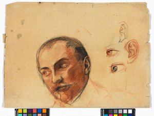 Studienblatt (Kopf, Augen, Ohren)
