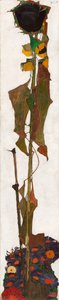 Słonecznik, 1909-1910. autorstwa Egon Schiele