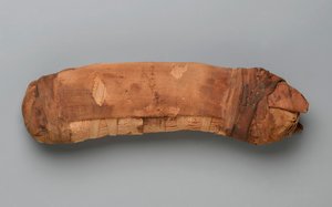 Mumia kota (szczątki zwierząt i pościel) autorstwa Egyptian