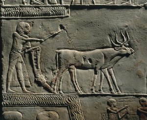 Horemheb orzący ziemię na Polach Iaru. Relief z grobowca Horemheba w Sakkarze, szczegół. autorstwa Egyptian 18th Dynasty
