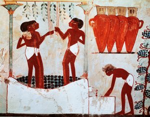 Ilustracja wiejskie życie codzienne: skubanie drobiu i zbiór winogron, pochodzące z grobowca Nacht w Tebach autorstwa Egyptian 18th Dynasty