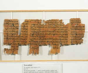 Recepta medyczna zapisana na papirusie autorstwa Egyptian 18th Dynasty