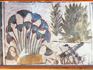 Malowidło przedstawiające kaczkę między roślinami, z Pałacu Akhenatona, El-Awara, Egipt autorstwa Egyptian 18th Dynasty