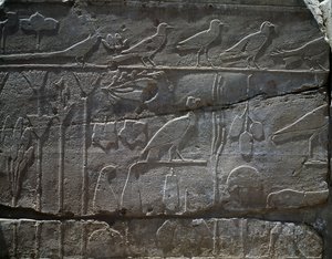 Kasvit ja eläimet, jotka tuotiin Thutmose III:n Syyrian-retkeltä vuonna 1465 eKr., yksityiskohta reliefistä, ns. kasvitieteellinen puutarha, Amunin temppeli, Karnakin temppelikompleksi, Egyptin sivilisaatio, Uusi kuningaskunta, dynastia XVIII Puola autorstwa Egyptian 18th Dynasty