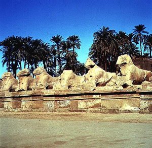Aleja sfinksów z głowami barana wyściełająca Drogę Procesyjną do Wielkiej Świątyni Amona, Nowe Królestwo autorstwa Egyptian 19th Dynasty