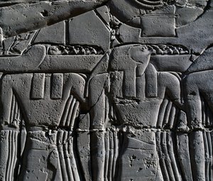 Kapłan w masce jastrzębia, detal ze sceny przedstawiającej Ramzesa II przed świętą łodzią, relief, wewnętrzne ściany Wielkiej Sali Hypostylowej, kompleks świątynny w Karnaku (Lista światowego dziedzictwa UNESCO) autorstwa Egyptian 19th Dynasty