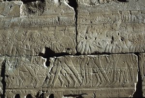 Relief, świątynia Amona, Luksor, starożytne Teby (lista światowego dziedzictwa UNESCO) autorstwa Egyptian 19th Dynasty