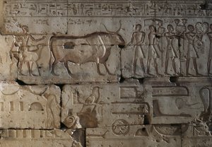 Płaskorzeźba, Świątynia Ramzesa II, Abydos, Egipt, cywilizacja egipska, Nowe Państwo, XIX dynastia (zdjęcie) autorstwa Egyptian 19th Dynasty