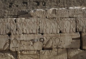 Relief, Ramses II:n temppeli, Abydos, Egypti, Egyptin sivilisaatio, Uusi kuningaskunta, Dynastia XIX (kuva)puola autorstwa Egyptian 19th Dynasty