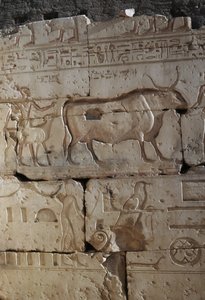 Płaskorzeźba, Świątynia Ramzesa II, Abydos, Egipt, cywilizacja egipska, Nowe Państwo, XIX dynastia (zdjęcie) autorstwa Egyptian 19th Dynasty