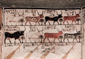 Grób Nefertari (malarstwo ścienne) autorstwa Egyptian 19th Dynasty