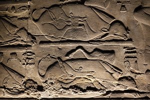 Świątynia w Luksorze: Poświęcone krowy (relief) autorstwa Egyptian Egyptian