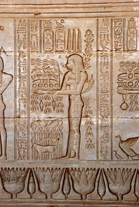 Starożytność egipska: przedstawienie młodej kobiety przynoszącej ofiary w hołdzie bogini, Świątynia Hathor, Dendera, Egipt autorstwa Egyptian Ptolemaic Period