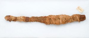Mumia krokodyla, znaleziona w Manfalont, 305-30 pne (szczątki zwierząt i len) autorstwa Egyptian Ptolemaic Period