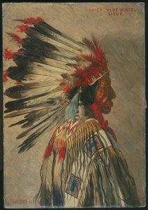 Wódz Niebieski Koń, Sioux