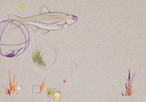 Floating, 2014 (ołówek akwarelowy i złoty liść na papierze)