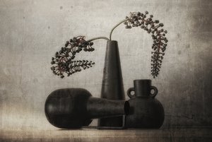 Martwa natura z ciemnymi jagodami