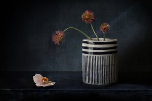 Kwiaty o nastrojowym, kolczastym wyglądzie autorstwa Elena Arjona