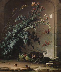 Kamienna nisza z osetem, jaszczurką i owadami, 1690