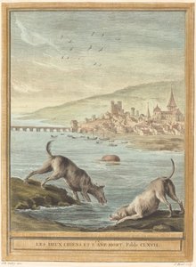 Dwa psy i martwy osioł autorstwa Elie du Mesnil after Jean Baptiste Oudry