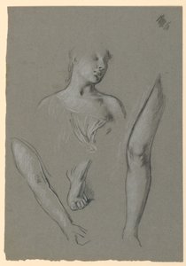Szczegóły badań figur autorstwa Elihu Vedder