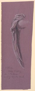 Studiuj dla „Fortuny” autorstwa Elihu Vedder