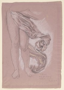 Studiuj dla „Fortuny” autorstwa Elihu Vedder