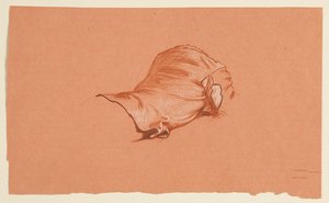 studium draperii dla kostiumowego męskiego torsu autorstwa Elihu Vedder