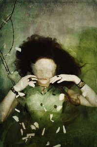 Hiding the thru you, 2013 (sitodruk)