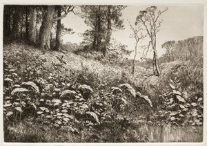 Letnie popołudnie, 1882. autorstwa Elis F. Miller
