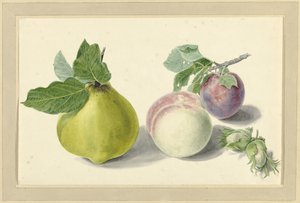 Gruszka, brzoskwinia, śliwka i orzechy autorstwa Elisabeth Geertruida van de Kasteele