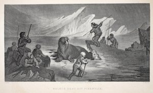 Mors Hunt off Pikantlik, ilustracja z „Drugiej wyprawy Grinnell w poszukiwaniu Sir Johna Franklina...”, 1856