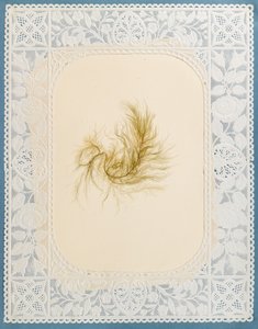 Wodorosty autorstwa Eliza A. Jordson