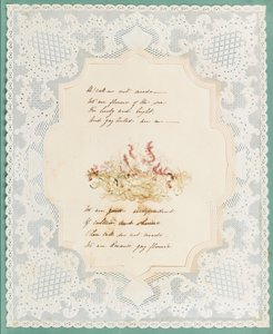 Wodorosty autorstwa Eliza A. Jordson