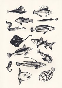 Monotone Plain Fish, 2015 (sitodruk)