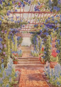 Pergola pokryta niebieskim Ipomoea Learii de Grendel, Tygerberg (kolorowa litografia)