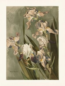  autorstwa Elizabeth F. Parker