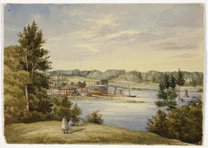 Widok z Sydney autorstwa Elizabeth Murray