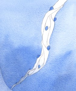 Nasze wstawiennictwo za Świętymi Duszami w Czyśćcu, w imię Jezusa, jest jak sznur, który ciągnie je do nieba, 2002 (w/c na papierze) autorstwa Elizabeth Wang