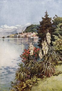 Grupa juk, Villa Melzi, Jezioro Como (kolor lito) autorstwa Ella Du Cane