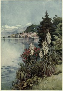 Grupa juk, Villa Melzi, Lago di Como, ilustracja z „Włoskich jezior” Richarda Bagota autorstwa Ella Du Cane